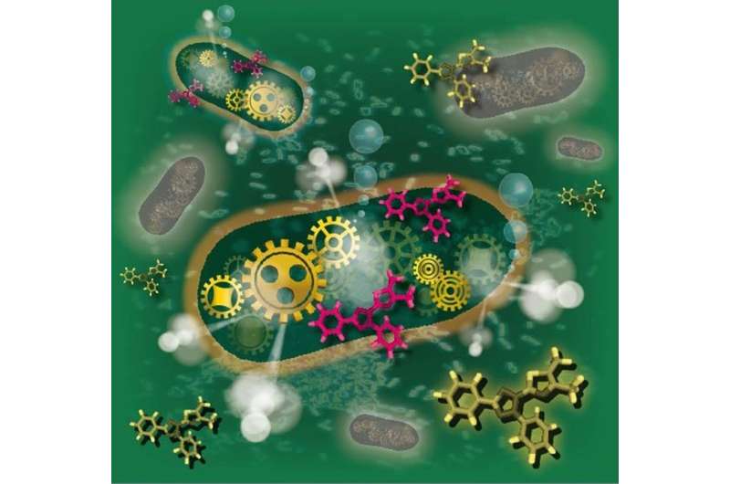 Gotcha! New technology speeds up bacterial testing in food